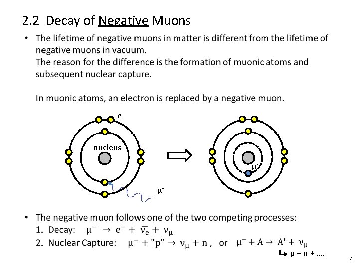 2. 2 Decay of Negative Muons enucleus µµ- p + n + …. 4