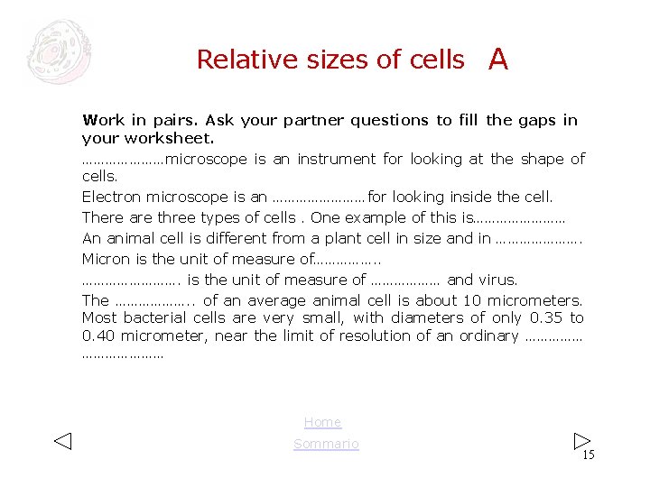 Relative sizes of cells A Work in pairs. Ask your partner questions to fill Relative sizes of cells A Work in pairs. Ask your partner questions to fill