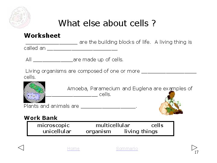 What else about cells ? _________ are the building blocks of life. A living What else about cells ? _________ are the building blocks of life. A living