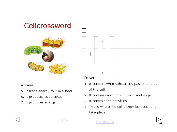 Cellcrossword Down Across 1. It controls what substances pass in and out 5. It Cellcrossword Down Across 1. It controls what substances pass in and out 5. It