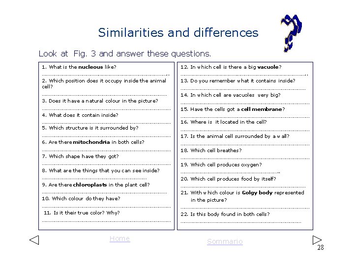 Similarities and differences Look at Fig. 3 and answer these questions. 1. What is Similarities and differences Look at Fig. 3 and answer these questions. 1. What is