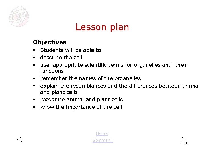 Lesson plan Objectives § § § § Students will be able to: describe the Lesson plan Objectives § § § § Students will be able to: describe the