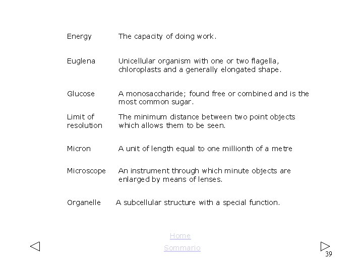 Energy The capacity of doing work. Euglena Unicellular organism with one or two flagella, Energy The capacity of doing work. Euglena Unicellular organism with one or two flagella,