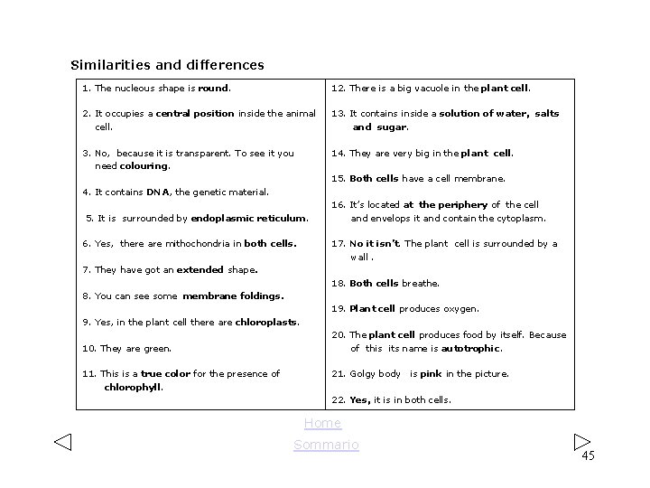 Similarities and differences 1. The nucleous shape is round. 12. There is a big Similarities and differences 1. The nucleous shape is round. 12. There is a big