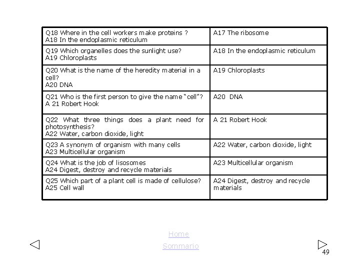 Q 18 Where in the cell workers make proteins ? A 18 In the Q 18 Where in the cell workers make proteins ? A 18 In the
