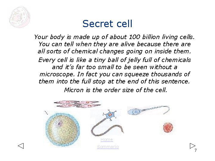 Secret cell Your body is made up of about 100 billion living cells. You Secret cell Your body is made up of about 100 billion living cells. You