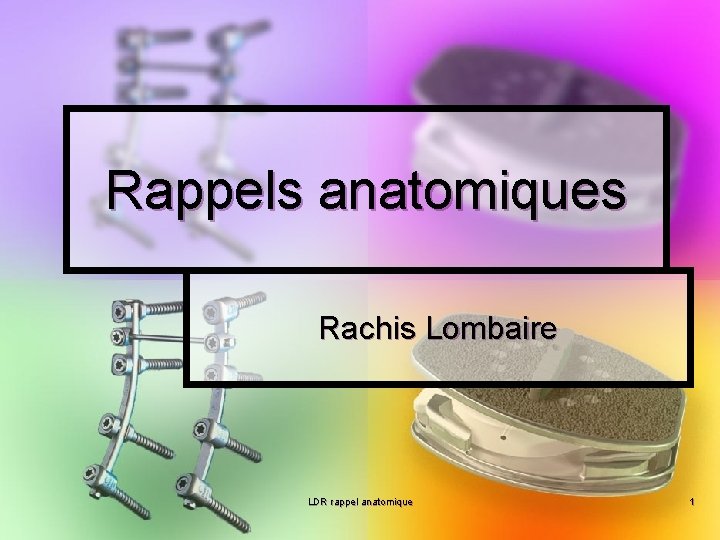 Rappels anatomiques Rachis Lombaire LDR rappel anatomique 1 