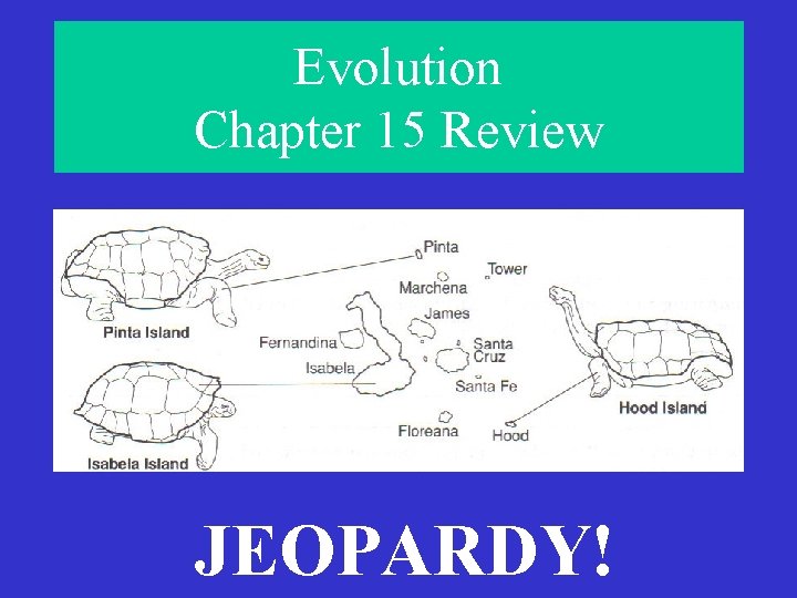 Evolution Chapter 15 Review JEOPARDY! 