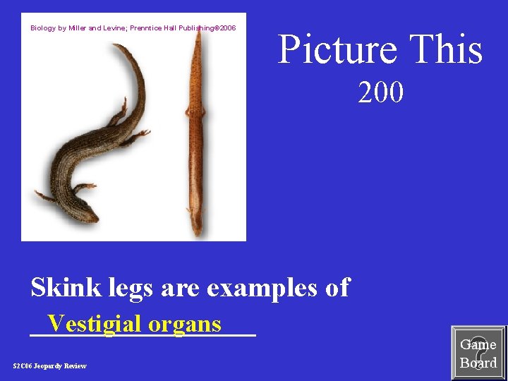 Biology by Miller and Levine; Prenntice Hall Publishing© 2006 Picture This 200 Skink legs