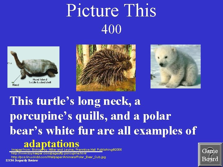 Picture This 400 This turtle’s long neck, a porcupine’s quills, and a polar bear’s