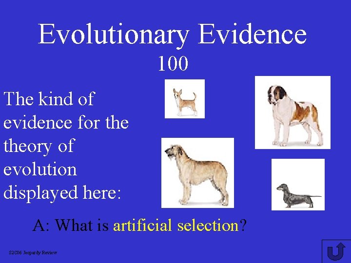 Evolutionary Evidence 100 The kind of evidence for theory of evolution displayed here: A: