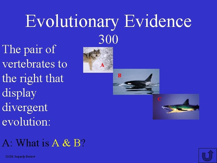 Evolutionary Evidence The pair of vertebrates to the right that display divergent evolution: A: