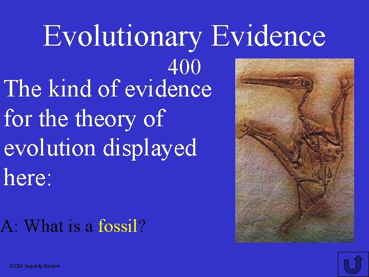 Evolutionary Evidence 400 The kind of evidence for theory of evolution displayed here: A: