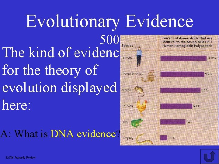 Evolutionary Evidence 500 The kind of evidence for theory of evolution displayed here: A: