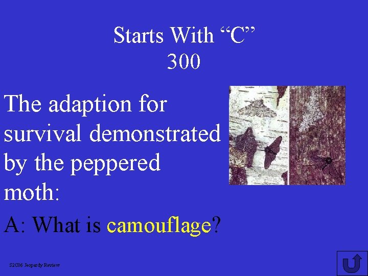 Starts With “C” 300 The adaption for survival demonstrated by the peppered moth: A: