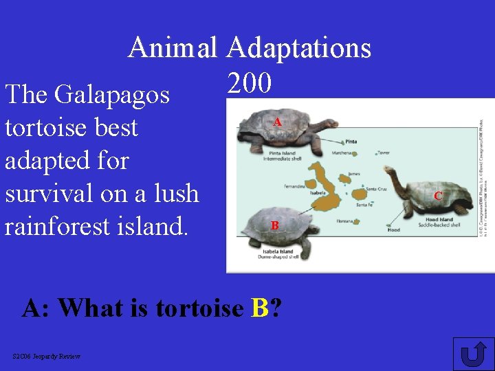 Animal Adaptations 200 The Galapagos tortoise best adapted for survival on a lush rainforest