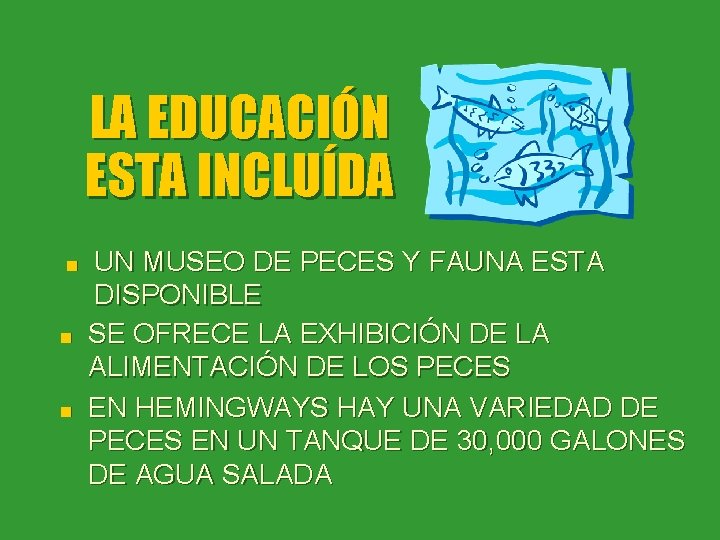 LA EDUCACIÓN ESTA INCLUÍDA n n n UN MUSEO DE PECES Y FAUNA ESTA