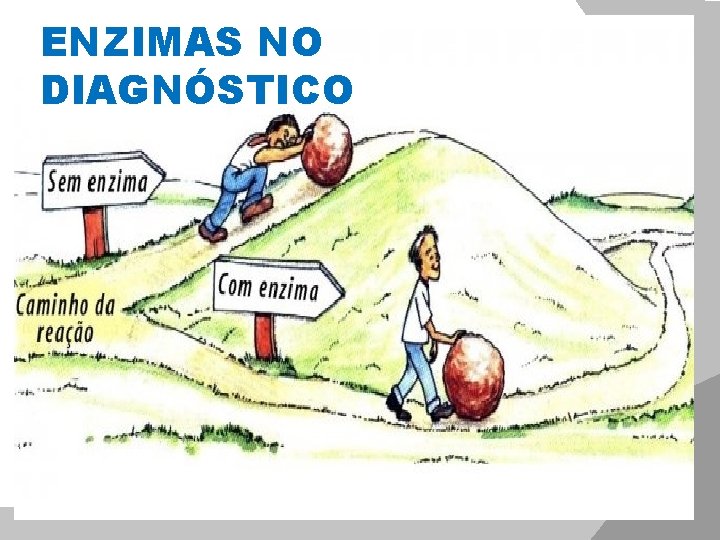 ENZIMAS NO DIAGNÓSTICO 