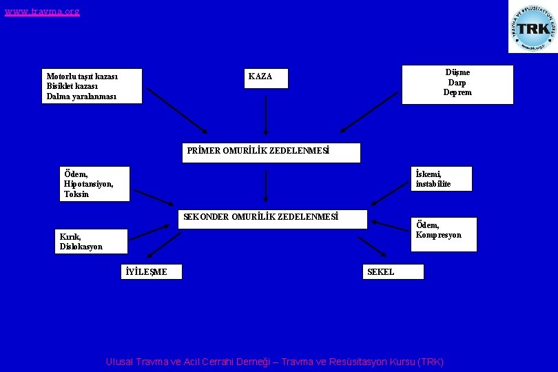www. travma. org Motorlu taşıt kazası Bisiklet kazası Dalma yaralanması Düşme Darp Deprem KAZA