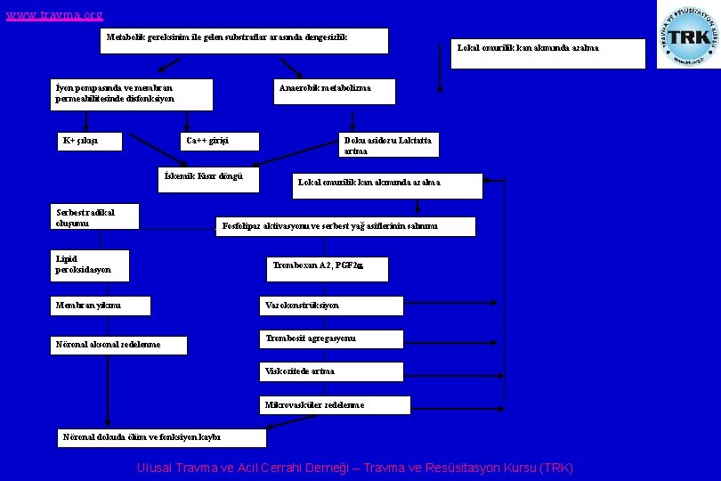 www. travma. org Metabolik gereksinim ile gelen substratlar arasında dengesizlik Lokal omurilik kan akımında
