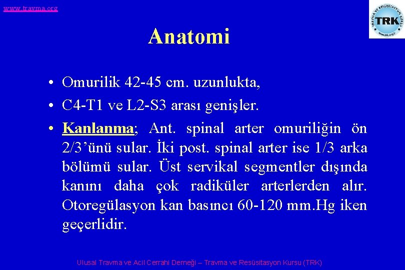 www. travma. org Anatomi • Omurilik 42 -45 cm. uzunlukta, • C 4 -T
