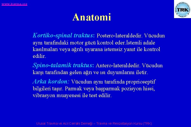 www. travma. org Anatomi Kortiko-spinal traktus: Postero-lateraldedir. Vücudun aynı tarafındaki motor gücü kontrol eder.