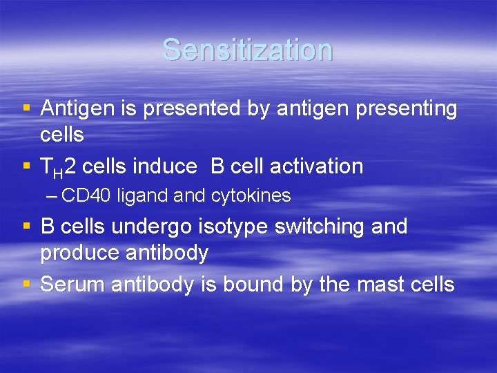 Sensitization § Antigen is presented by antigen presenting cells § TH 2 cells induce