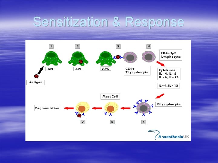 Sensitization & Response 