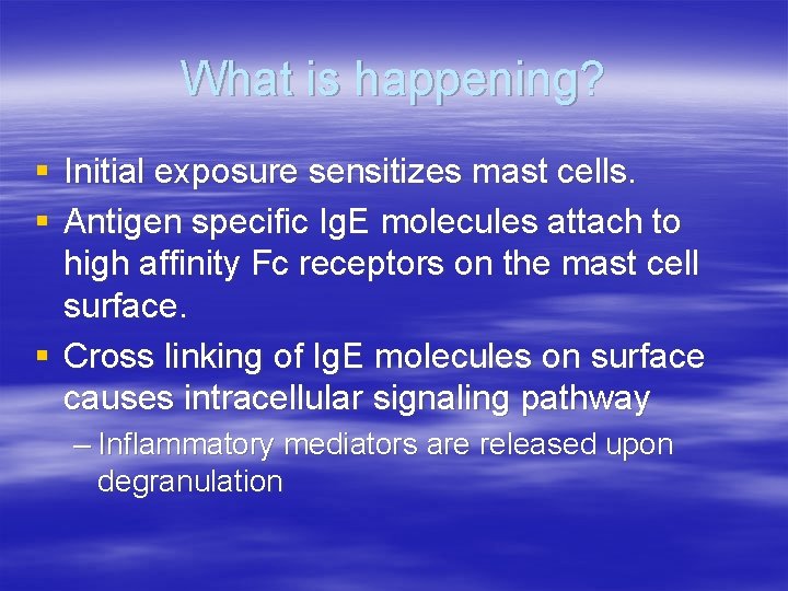 What is happening? § Initial exposure sensitizes mast cells. § Antigen specific Ig. E