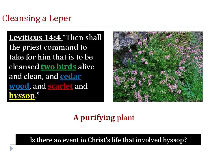 Cleansing a Leper Leviticus 14: 4 “Then shall the priest command to take for