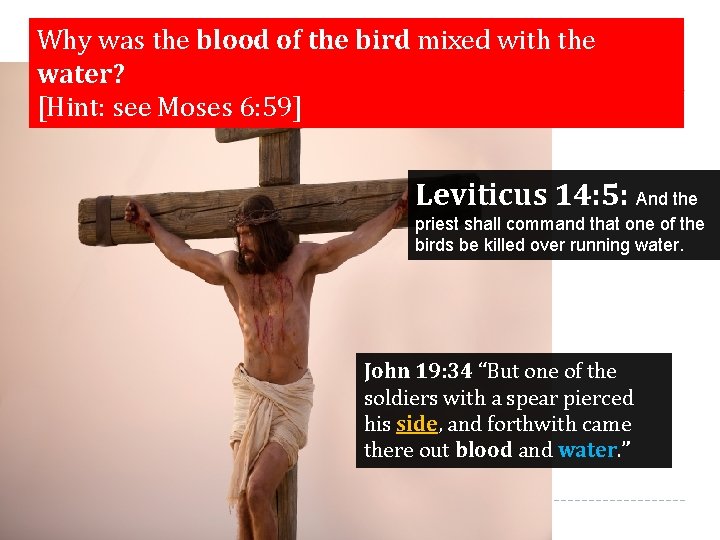 Why was the blood of the bird mixed with the water? [Hint: see Moses