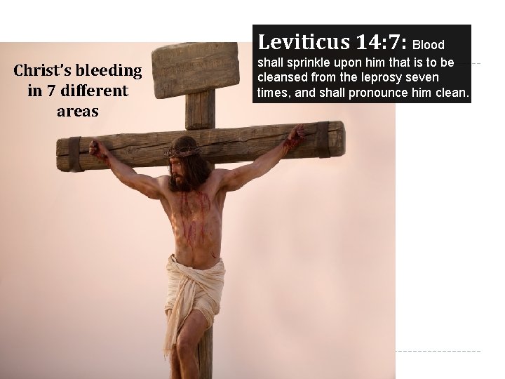 Leviticus 14: 7: Blood Christ’s bleeding in 7 different areas shall sprinkle upon him