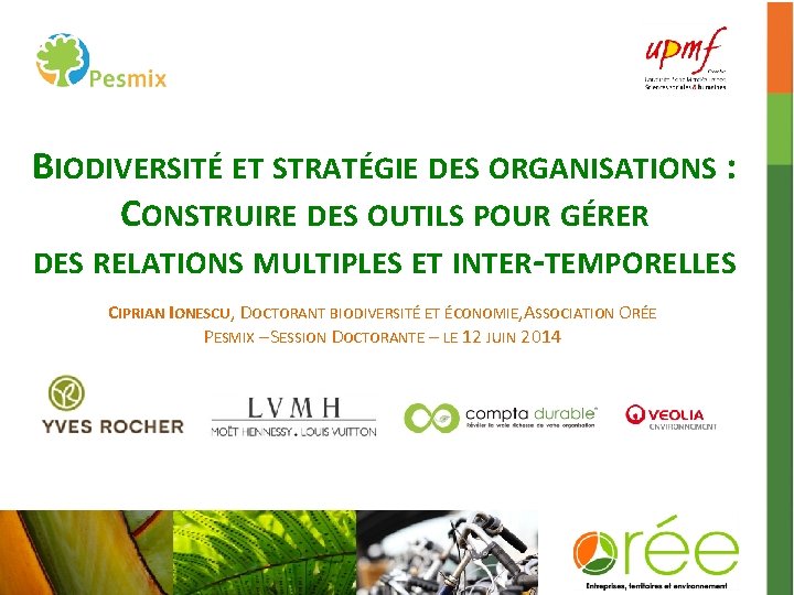 BIODIVERSITÉ ET STRATÉGIE DES ORGANISATIONS : CONSTRUIRE DES OUTILS POUR GÉRER DES RELATIONS MULTIPLES