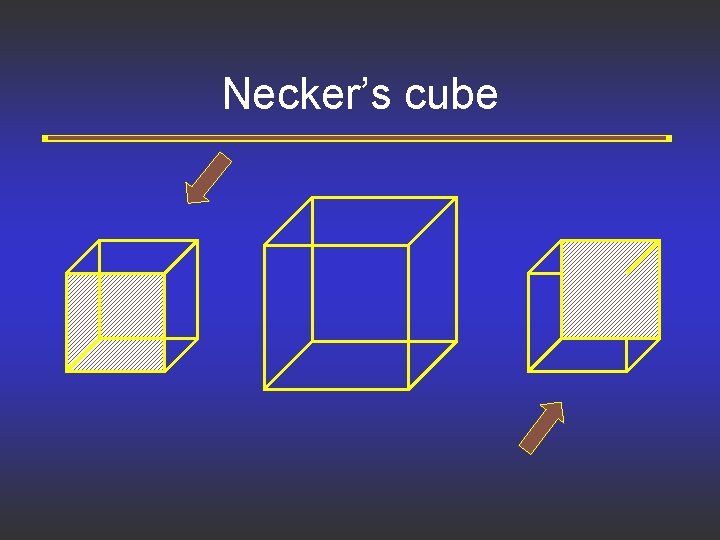 Necker’s cube 