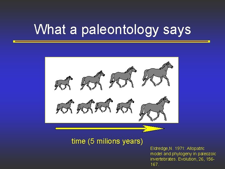 What a paleontology says time (5 milions years) Eldredge, N. 1971: Allopatric model and