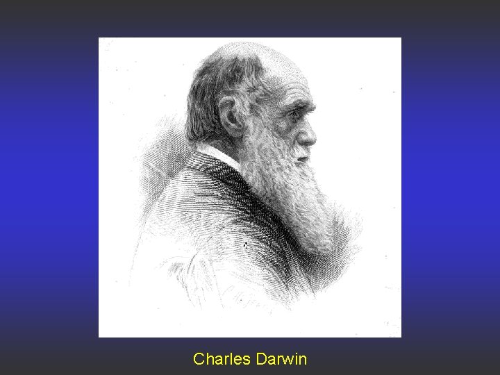 Charles Darwin 