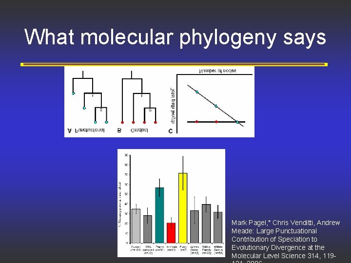 What molecular phylogeny says Mark Pagel, * Chris Venditti, Andrew Meade: Large Punctuational Contribution