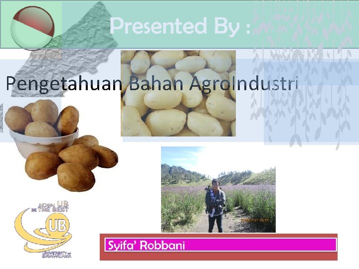 Pengetahuan Bahan Agro. Industri 