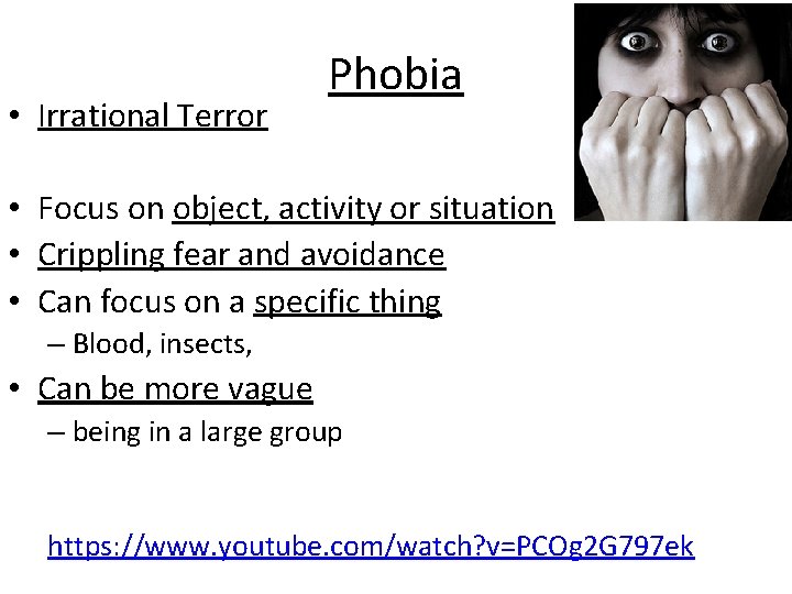  • Irrational Terror Phobia • Focus on object, activity or situation • Crippling