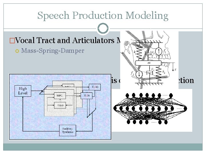 Speech Production Modeling �Vocal Tract and Articulators Modeling Mass-Spring-Damper �The Underlying Neural Basis of