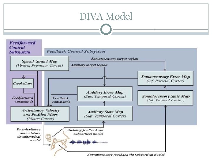 DIVA Model 