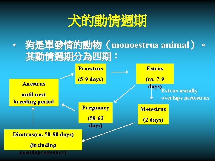 犬的動情週期 • 狗是單發情的動物（monoestrus animal）。 其動情週期分為四期： Anestrus until next breeding period Diestrus(ca. 50 -80 days)