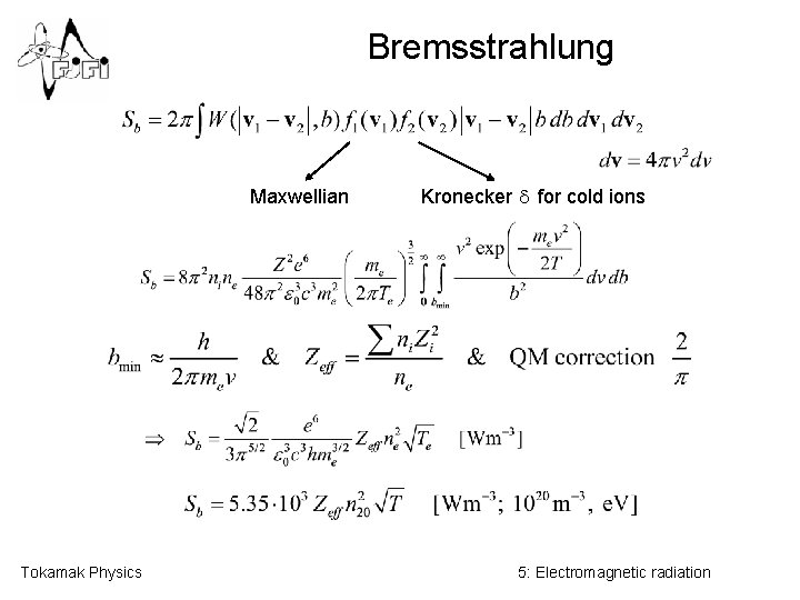 Bremsstrahlung Maxwellian Tokamak Physics Kronecker d for cold ions 5: Electromagnetic radiation 