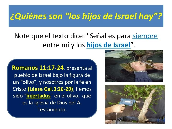 ¿Quiénes son “los hijos de Israel hoy”? Note que el texto dice: "Señal es