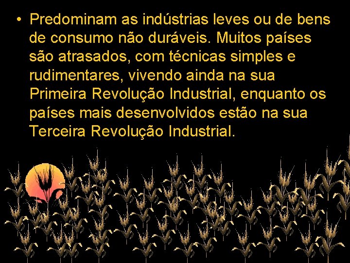 • Predominam as indústrias leves ou de bens de consumo não duráveis. Muitos • Predominam as indústrias leves ou de bens de consumo não duráveis. Muitos
