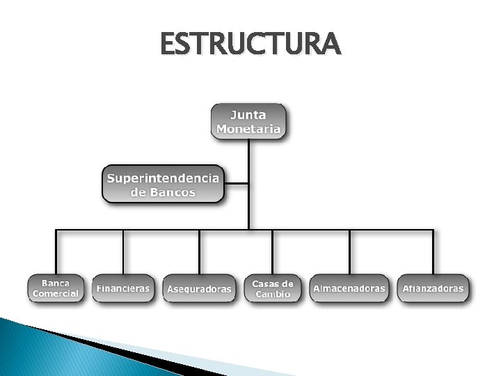 ESTRUCTURA 