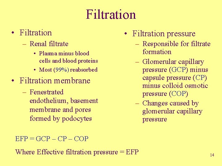 Filtration • Filtration – Renal filtrate • Plasma minus blood cells and blood proteins