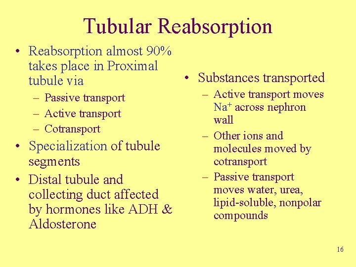Tubular Reabsorption • Reabsorption almost 90% takes place in Proximal • Substances transported tubule