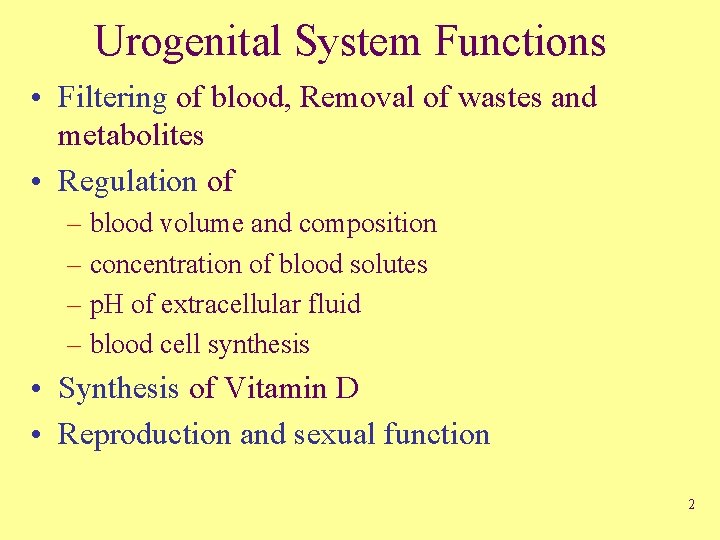 Urogenital System Functions • Filtering of blood, Removal of wastes and metabolites • Regulation