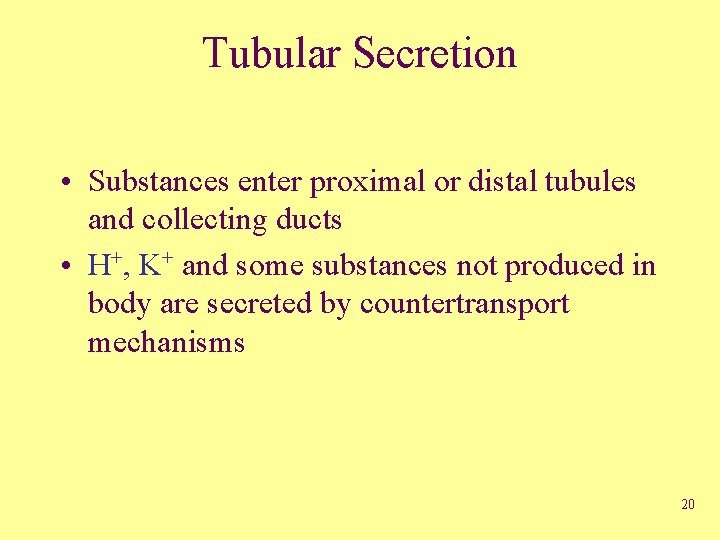 Tubular Secretion • Substances enter proximal or distal tubules and collecting ducts • H+,